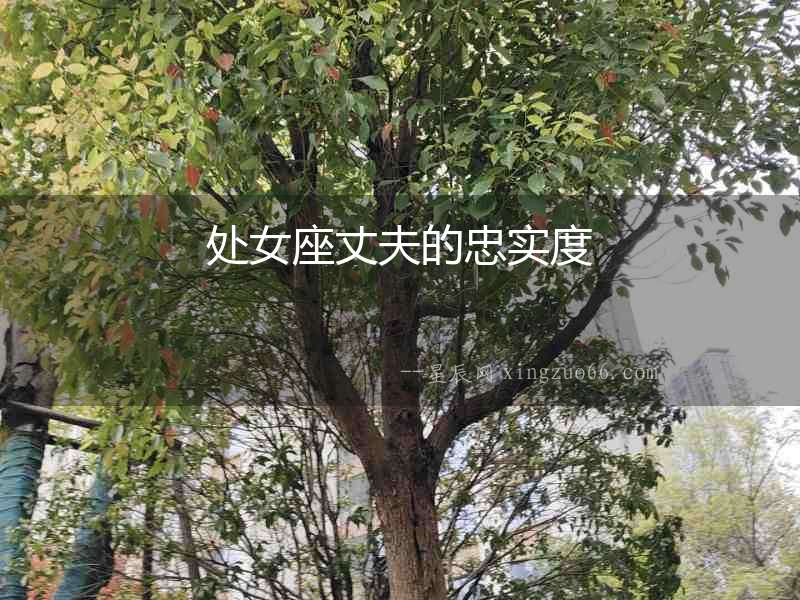 處女座丈夫的忠實(shí)度