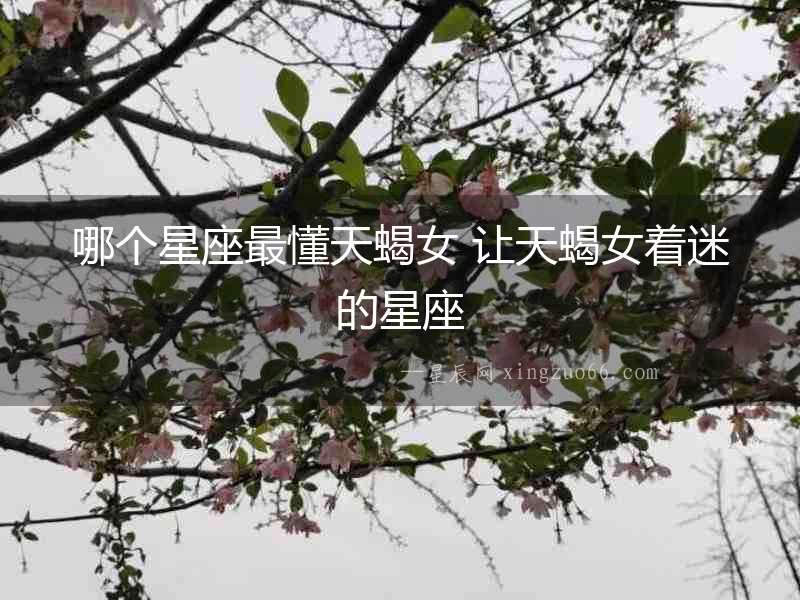 哪個星座最懂天蝎女 讓天蝎女著迷的星座