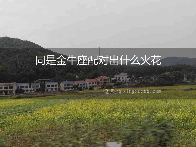 同是金牛座配對(duì)出什么火花