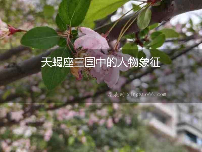 天蝎座三國(guó)中的人物象征
