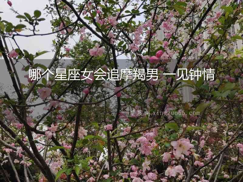 哪個星座女會追摩羯男 一見鐘情