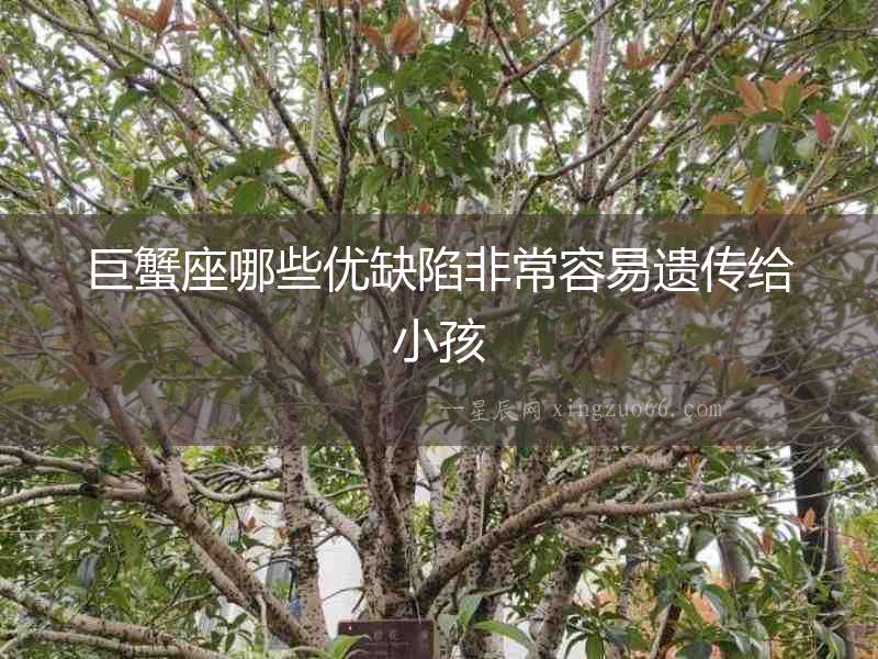 巨蟹座哪些優(yōu)缺陷非常容易遺傳給小孩