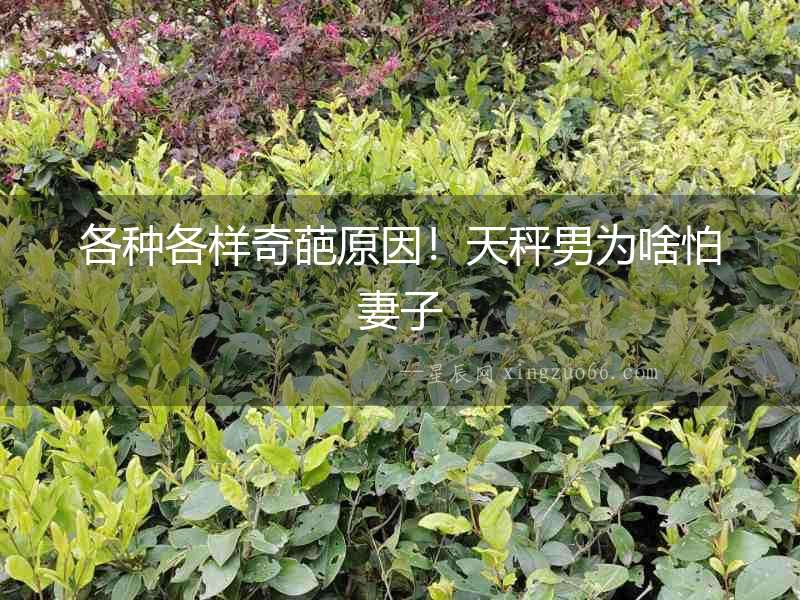 各種各樣奇葩原因！天秤男為啥怕妻子