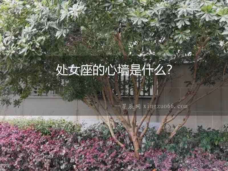 處女座的心墻是什么？