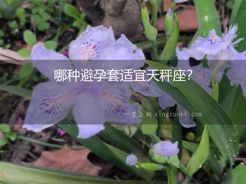 哪種避孕套適宜天秤座？