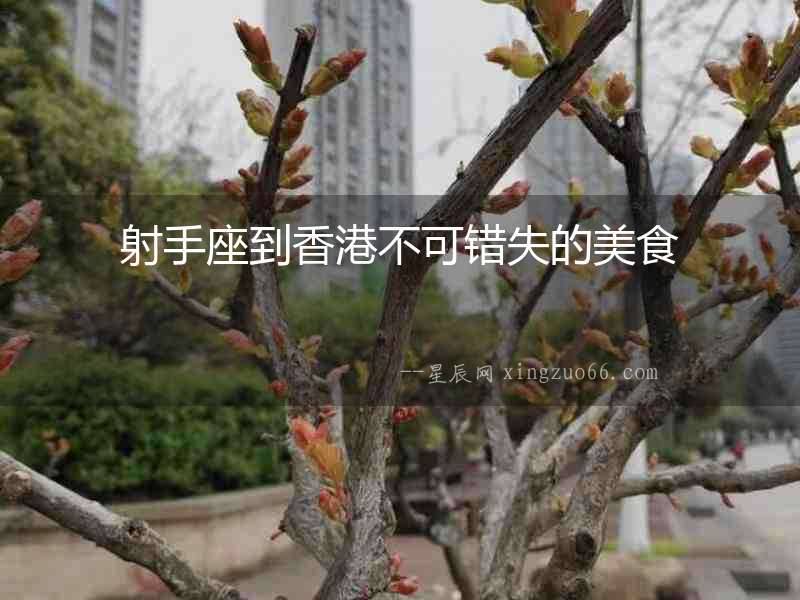 射手座到香港不可錯(cuò)失的美食