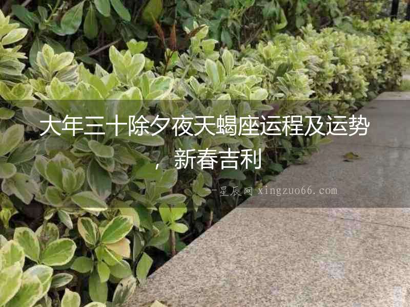 大年三十除夕夜天蝎座運程及運勢，新春吉利