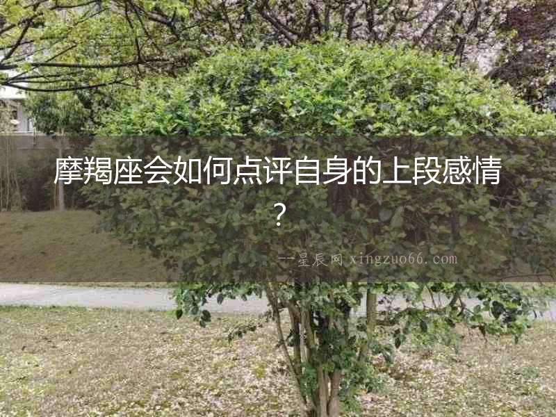 摩羯座會(huì)如何點(diǎn)評(píng)自身的上段感情？