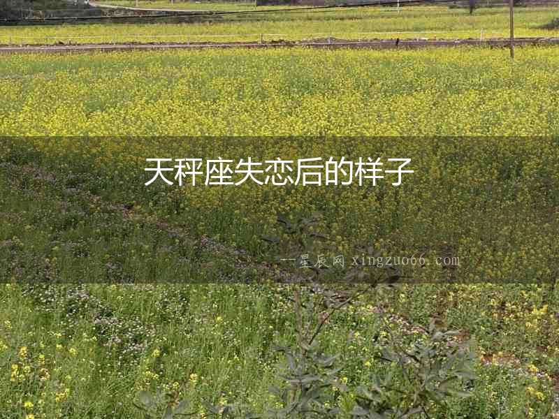 天秤座失戀后的樣子