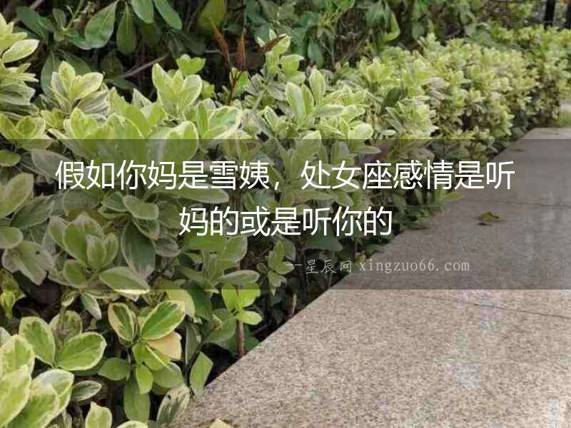 假如你媽是雪姨，處女座感情是聽媽的或是聽你的