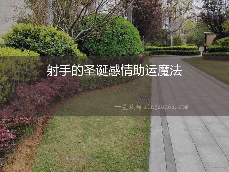 射手的圣誕感情助運魔法