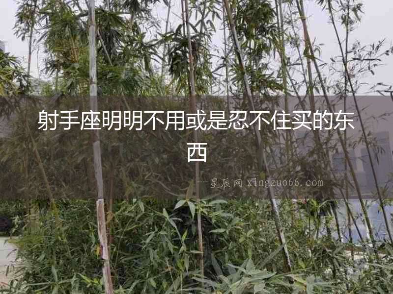 射手座明明不用或是忍不住買的東西