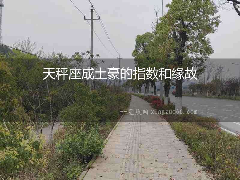 天秤座成土豪的指數和緣故