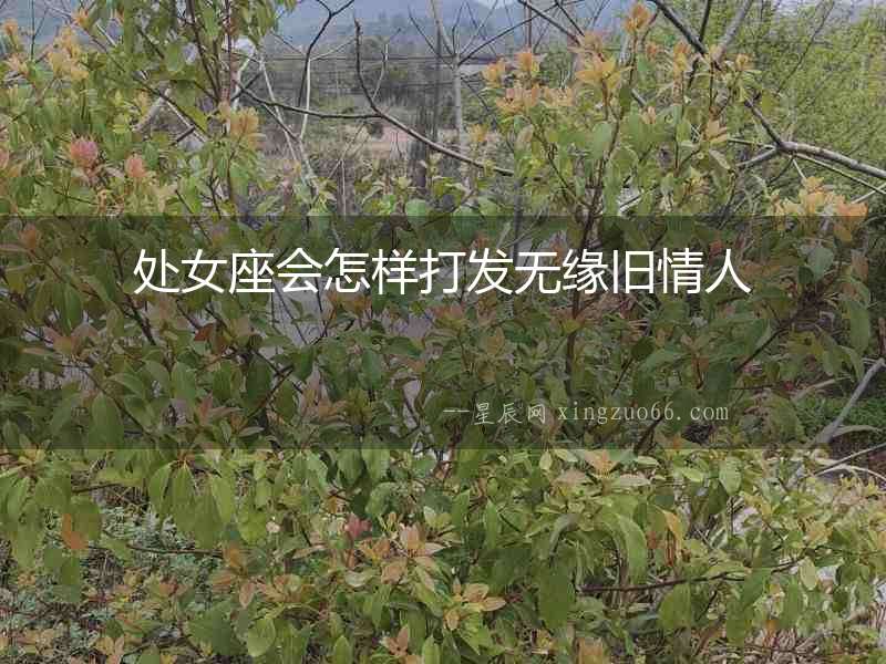 處女座會(huì)怎樣打發(fā)無(wú)緣舊情人