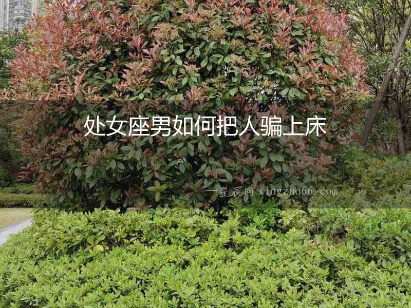 處女座男如何把人騙上床