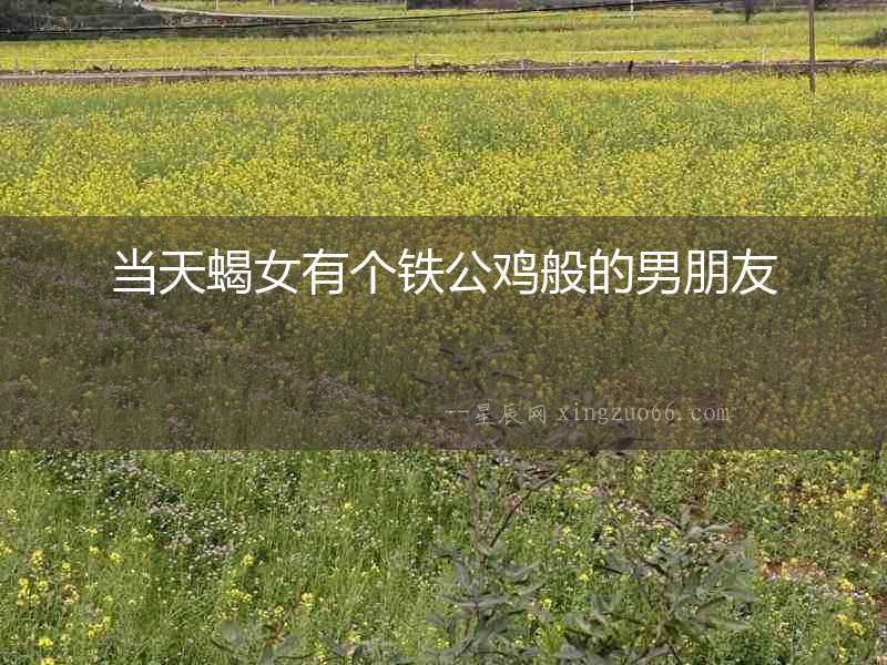 當(dāng)天蝎女有個鐵公雞般的男朋友