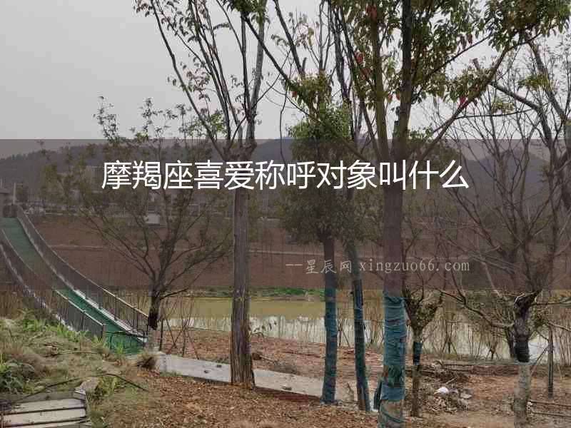 摩羯座喜愛(ài)稱呼對(duì)象叫什么