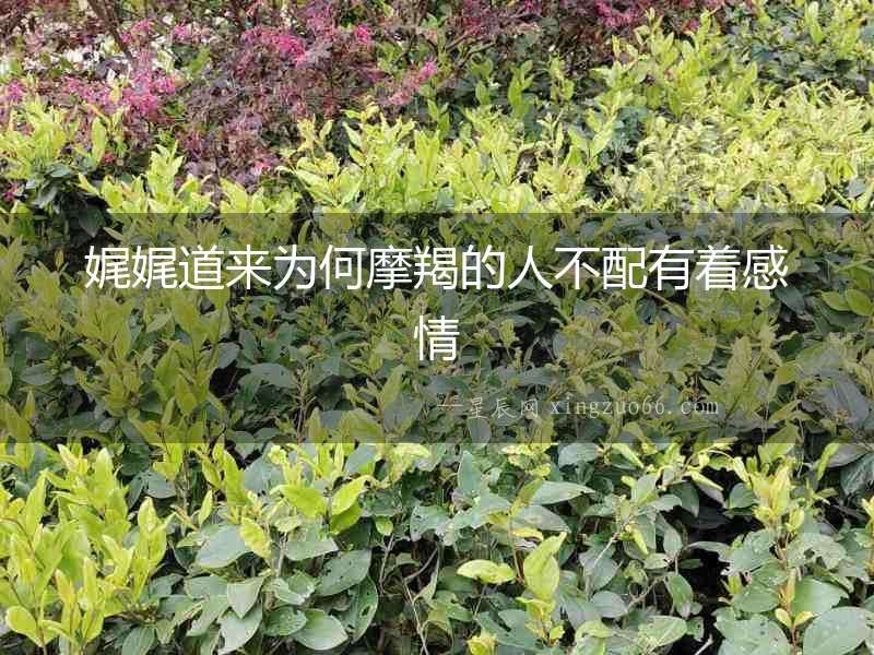 娓娓道來為何摩羯的人不配有著感情