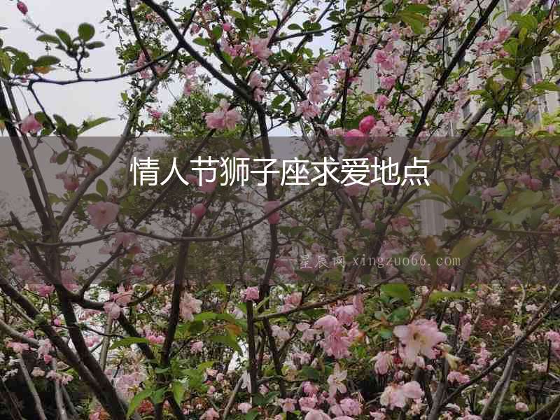 情人節(jié)獅子座求愛地點(diǎn)