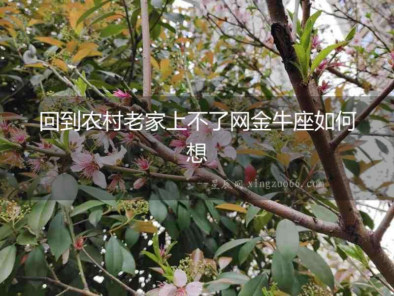 回到農村老家上不了網金牛座如何想