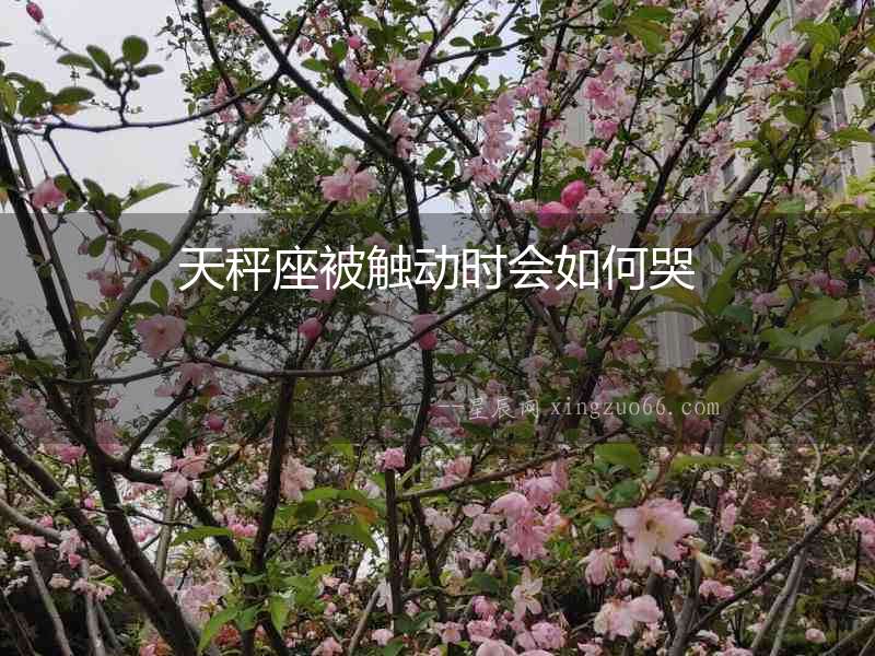 天秤座被觸動時會如何哭