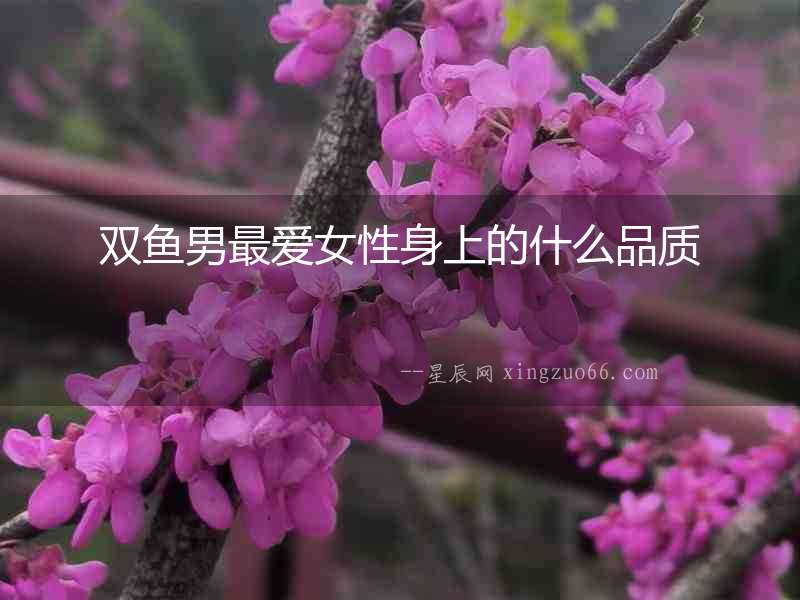 雙魚男最愛女性身上的什么品質