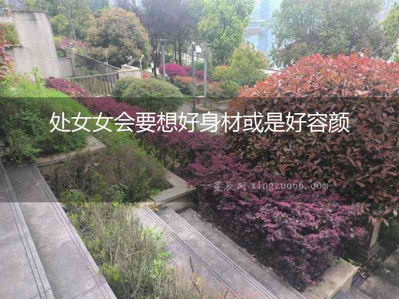 處女女會(huì)要想好身材或是好容顏
