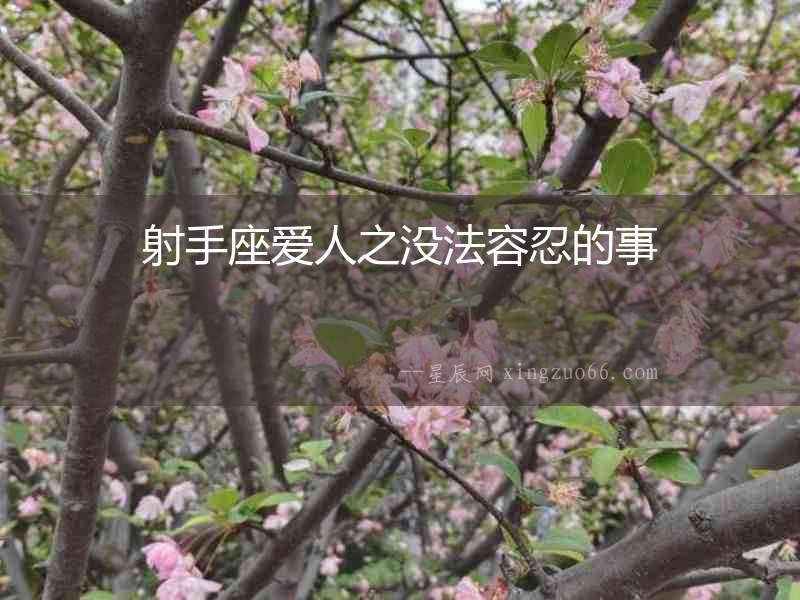 射手座愛(ài)人之沒(méi)法容忍的事