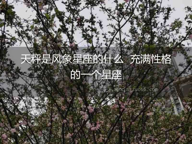 天秤是風象星座的什么  充滿性格的一個星座
