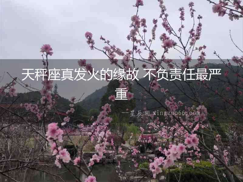 天秤座真發火的緣故 不負責任最嚴重