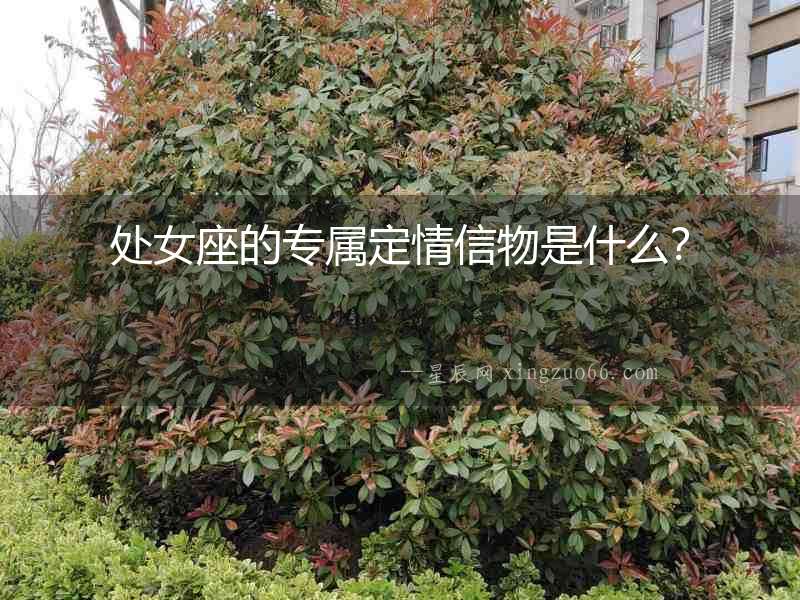 處女座的專屬定情信物是什么？