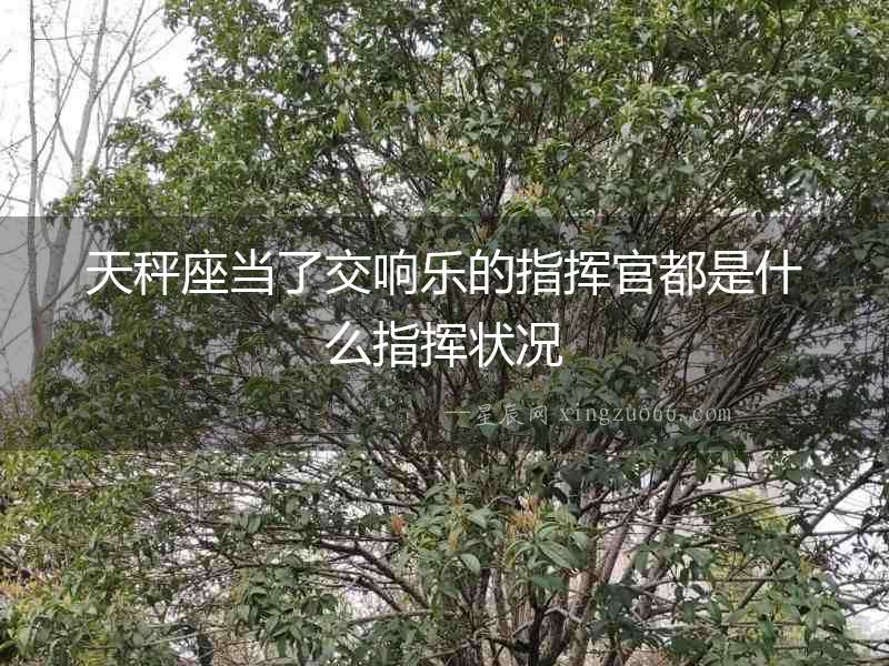 天秤座當(dāng)了交響樂的指揮官都是什么指揮狀況
