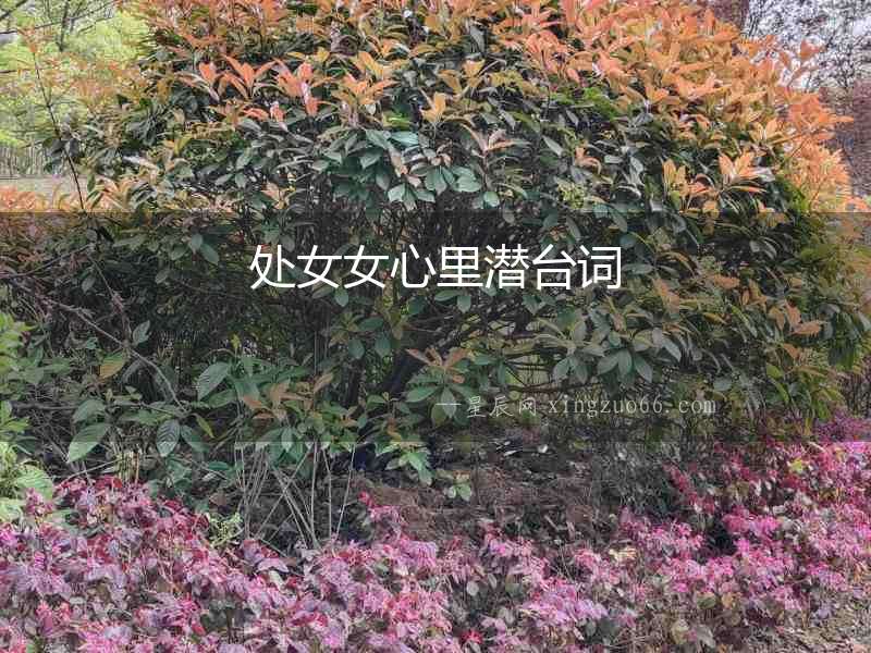 處女女心里潛臺詞