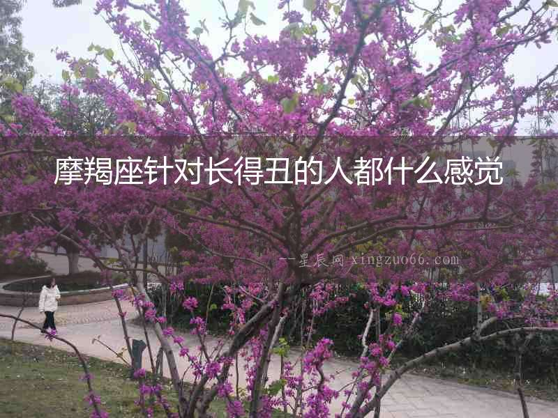 摩羯座針對(duì)長得丑的人都什么感覺