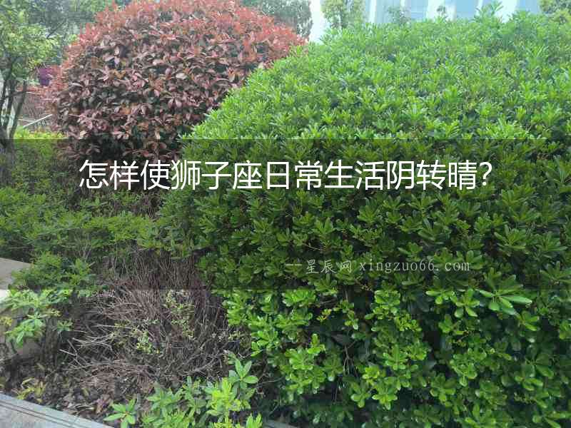 怎樣使獅子座日常生活陰轉晴？