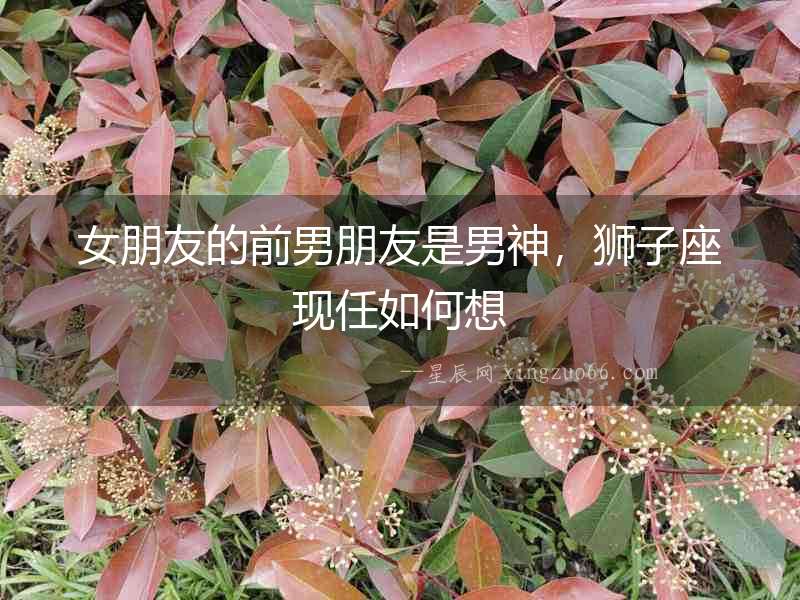 女朋友的前男朋友是男神，獅子座現任如何想