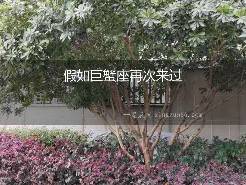 假如巨蟹座再次來過