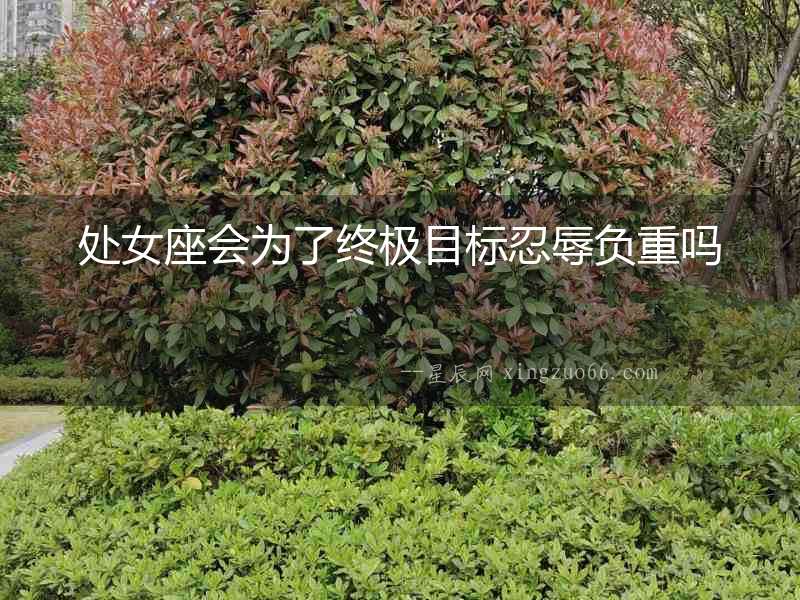 處女座會為了終極目標(biāo)忍辱負(fù)重嗎
