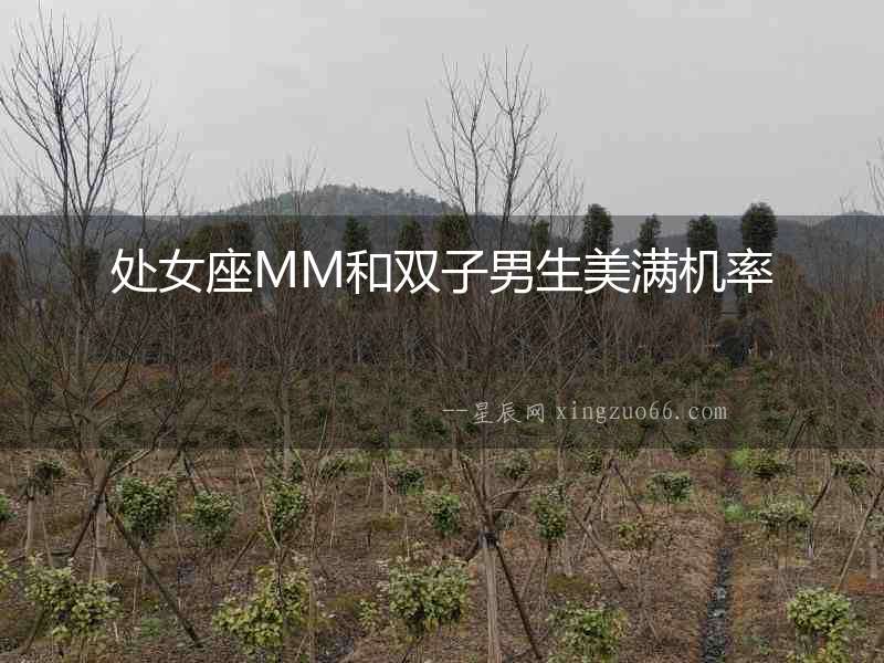 處女座MM和雙子男生美滿機率