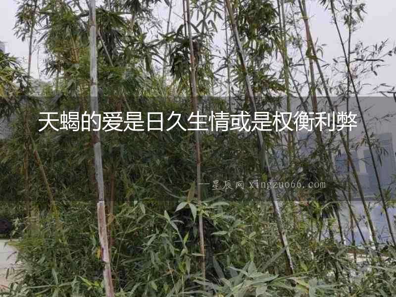 天蝎的愛(ài)是日久生情或是權(quán)衡利弊