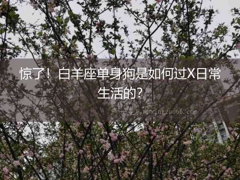 驚了！白羊座單身狗是如何過X日常生活的？