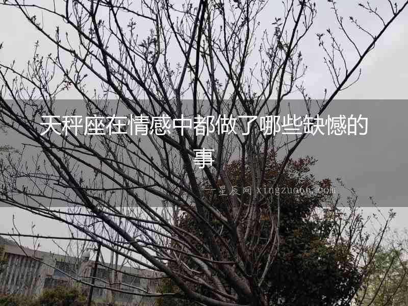 天秤座在情感中都做了哪些缺憾的事