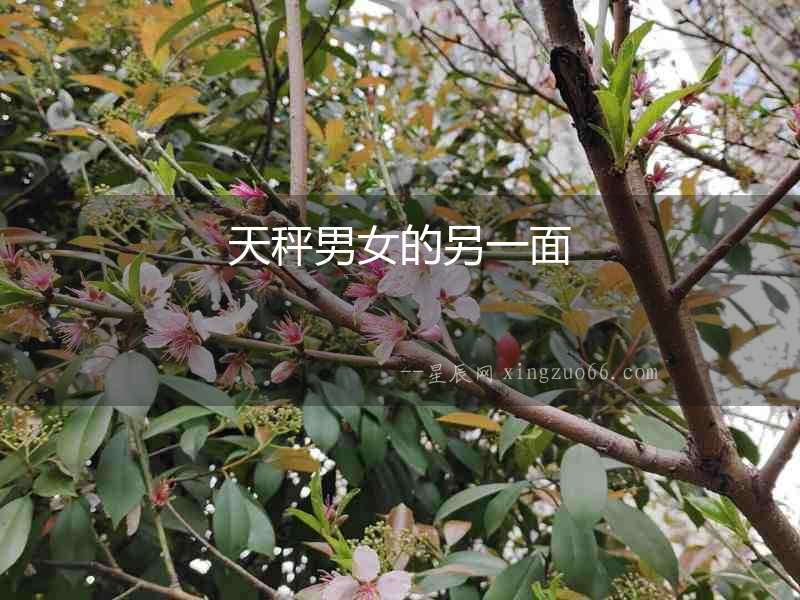 天秤男女的另一面