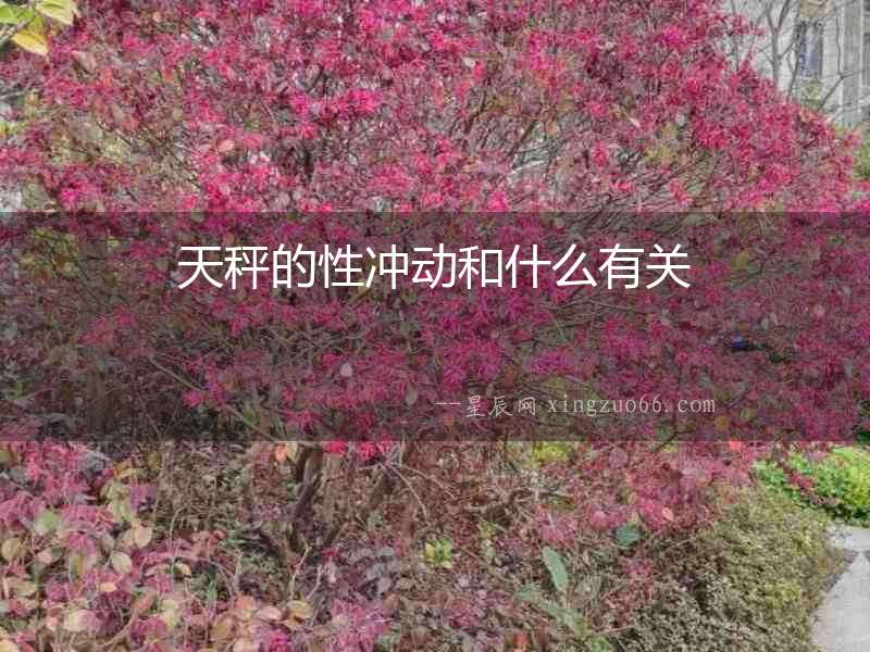 天秤的性沖動和什么有關