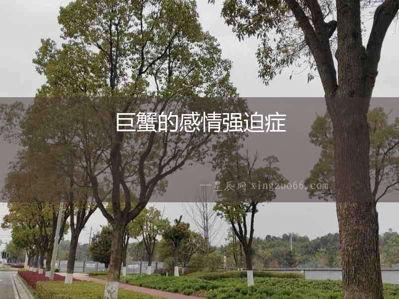 巨蟹的感情強(qiáng)迫癥