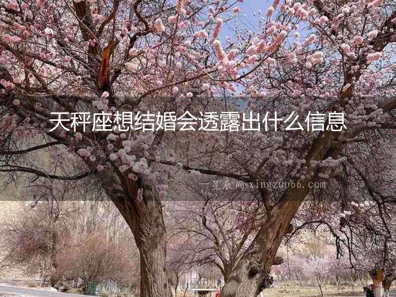 天秤座想結(jié)婚會(huì)透露出什么信息
