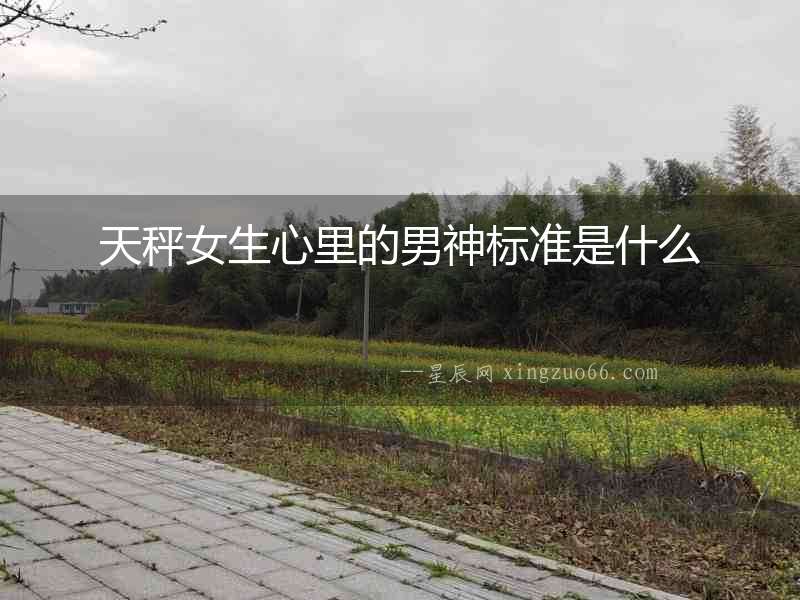 天秤女生心里的男神標準是什么