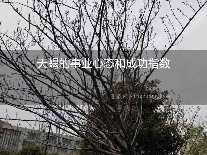 天蝎的事業心態和成功指數