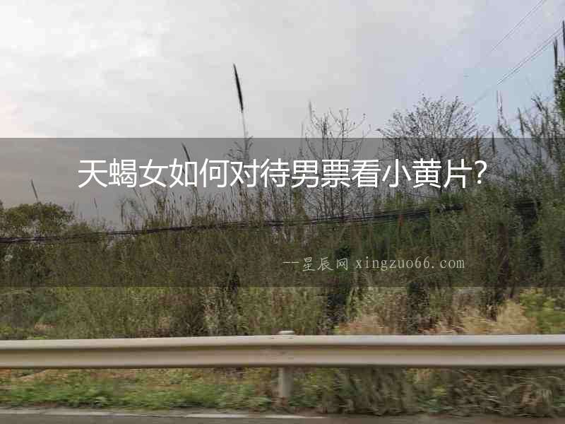 天蝎女如何對(duì)待男票看小黃片？