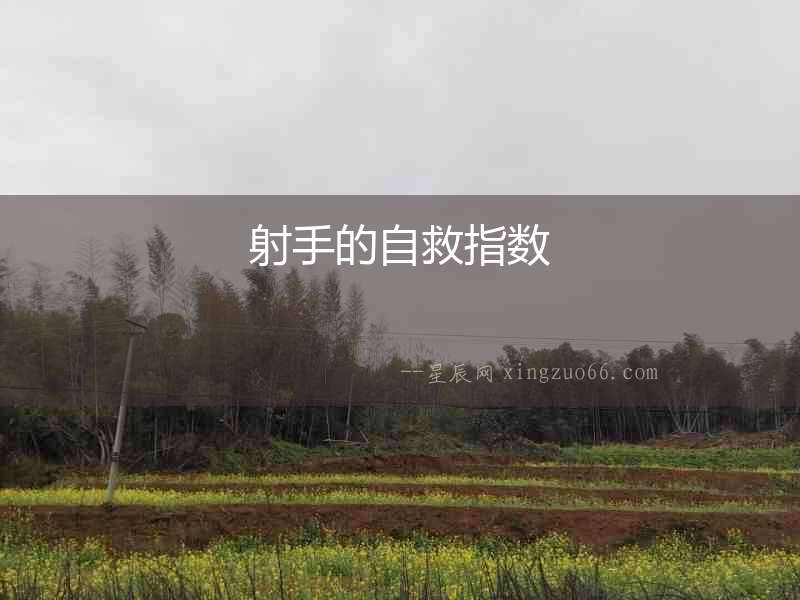射手的自救指數
